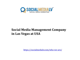 Social Media Management Company in Las Vegas at USA