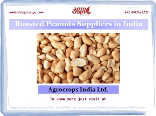 Roasted Peanuts Suppliers in India