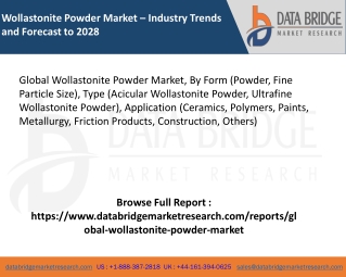 Global Wollastonite Powder Market – Industry Trends and Forecast to 2028