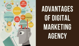 What are the Advantages of Digital Marketing Agency Mississauga?