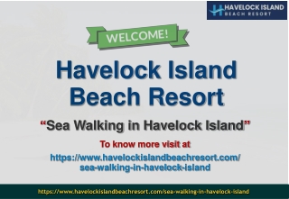 Sea Walking in Havelock Island