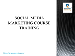 apponix social media marketing