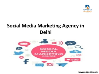 social media Certification Training Course
