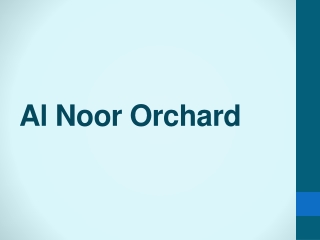 Al Noor Orchard