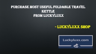 Purchase Most Useful Foldable Travel Kettle