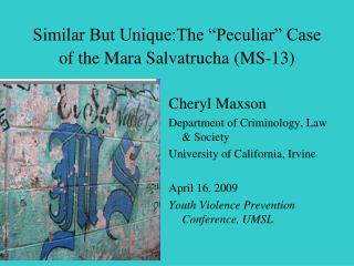 Similar But Unique:The “Peculiar” Case of the Mara Salvatrucha (MS-13)