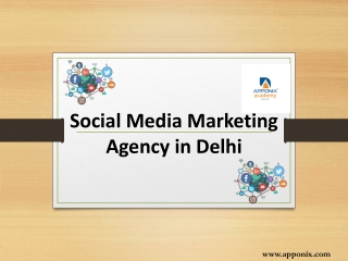 Social Media Marketing Agency in Delhi