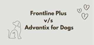 k9 advantix vs frontline plus