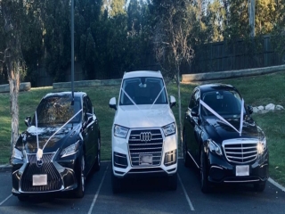 Limo Hire Service in Goldcoast