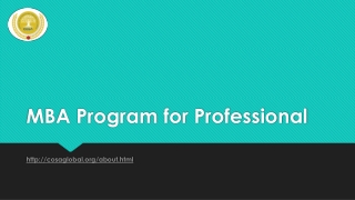 MBA Program for Professional