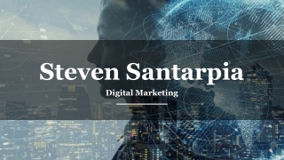 Steven Santarpia - President of Steven Santarpia Consulting