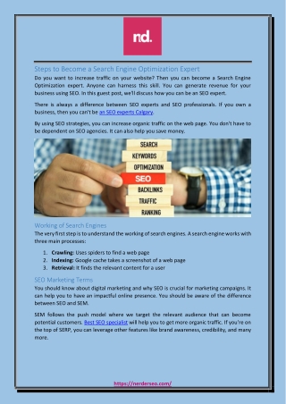 Steps to Become a Search Engine Optimization Expert