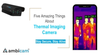 Five Amazing Things About  Thermal Imaging Camera