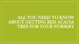 All You Need To Know About Getting Red Acacia Tree For Your Nursery