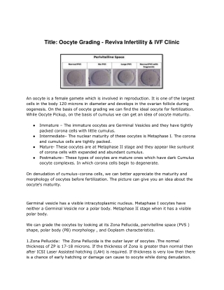 Oocyte Grading - Reviva Infertility & IVF Clinic