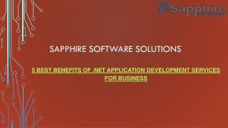 5 Best Benefits of .Net Application Development Services for Business