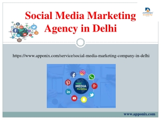 Social Media Marketing Agency in Delhi.