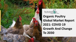 Organic Poultry Market Forecast to 2030 | Growth and Trends