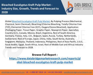 Global Bleached Eucalyptus Kraft Pulp Market – Industry Trends and Forecast