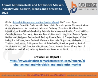Global Animal Antimicrobials and Antibiotics Market – Industry Trends
