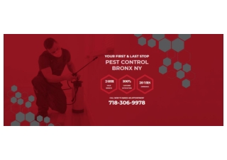 Bronx Pest Control