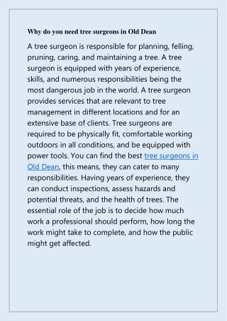 Experienced Tree Surgeons in Old Dean