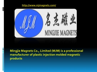 Best Injection Molding Magnets China