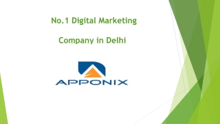 seo company in delhi