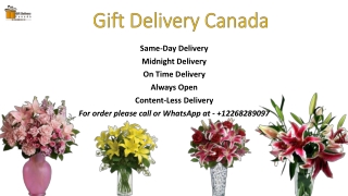 Send Fresh Lilies Flowers with Awesome Fragrances to Canada |Gift Delivery Canad