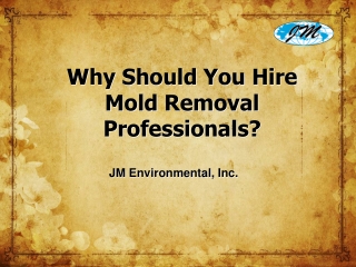 Why Should You Hire Mold Removal Professionals?