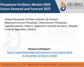 Phosphate Fertilizers Market pdf