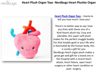 NerdBugs Team - Human Organs Plush Toys & Nerdbugs Plush Toy Organs