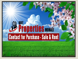Best Apartments For Sale In Mohali