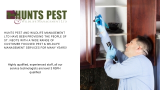 Pest Control Huntingdon