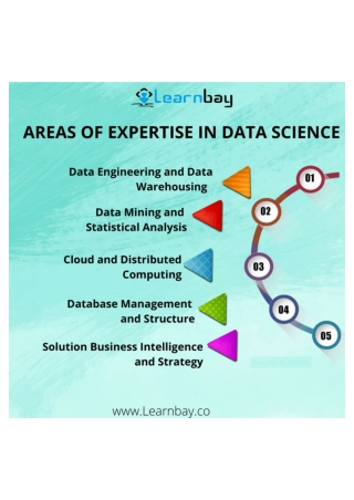 Areas of Expertise in Data Science