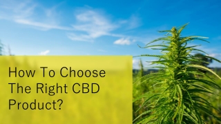 How To Choose The Right CBD Product?
