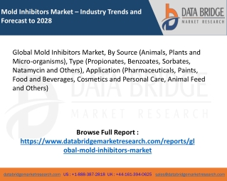 Global Mold Inhibitors Market – Industry Trends and Forecast to 2028