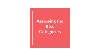 Assessing the Risk Categories