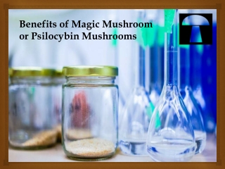 Benefits of Magic Mushroom or Psilocybin mushrooms
