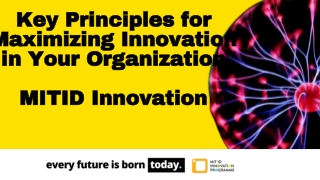Principles of Innovation - MITID Innovation