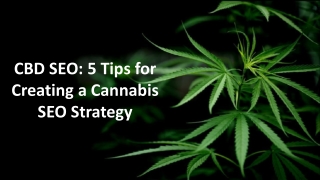 CBD SEO: 5 Tips for Creating a Cannabis SEO Strategy