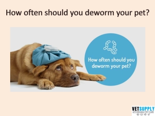 How often should you deworm your pet?| Wormer for Pets| VetSupply