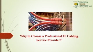 Why to Choose a Professional IT Cabling Service in Dubai?