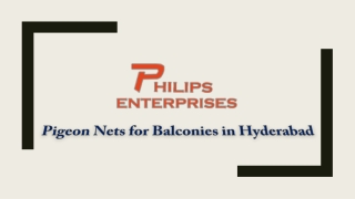 Pigeon Nets for Balconies in Hyderabad