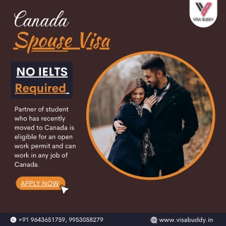 Immigration Consultants In India