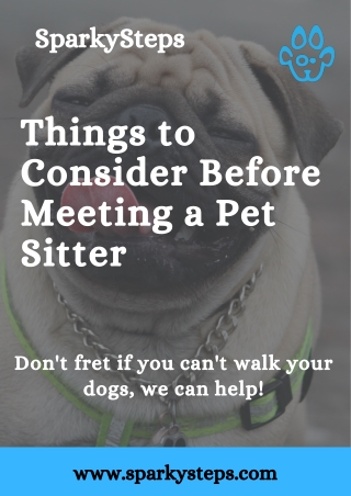 Things to Consider Before Meeting a Pet Sitter | SparkySteps