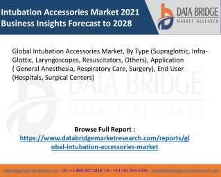 Intubation Accessories Market pdf