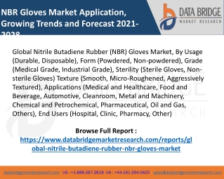 Nitrile Butadiene Rubber (NBR) Gloves Market pdf