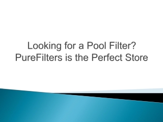 Looking for a Pool Filter PureFilters is the Perfect Store
