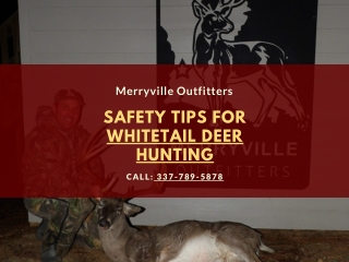 Safety tips for whitetail deer hunting